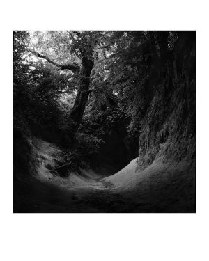 Fotografia 5