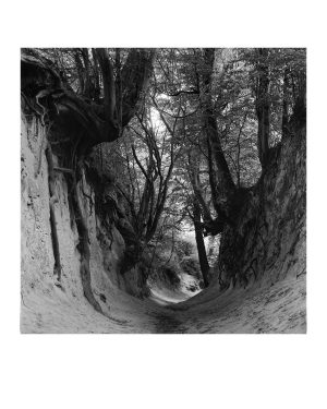 Fotografia 7