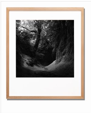 Fotografia 5 - galeria